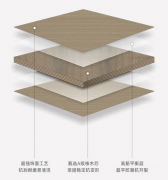 正在分歧范畴内阐扬着沉